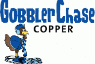 Gobbler Chase Snowshoe Race