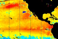 Evidence is mounting that the El Niño is REAL Evidence is mounting that the El Niño is REAL