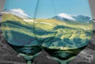 BRECKENRIDGE WINE CLASSIC