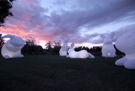 WAVE: Light + Water + Sound